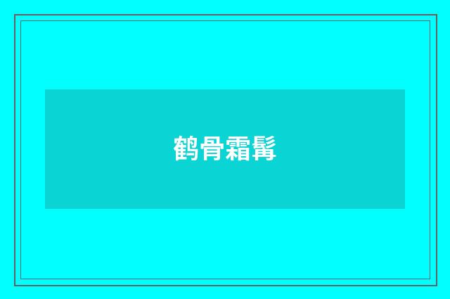 鹤骨霜髯