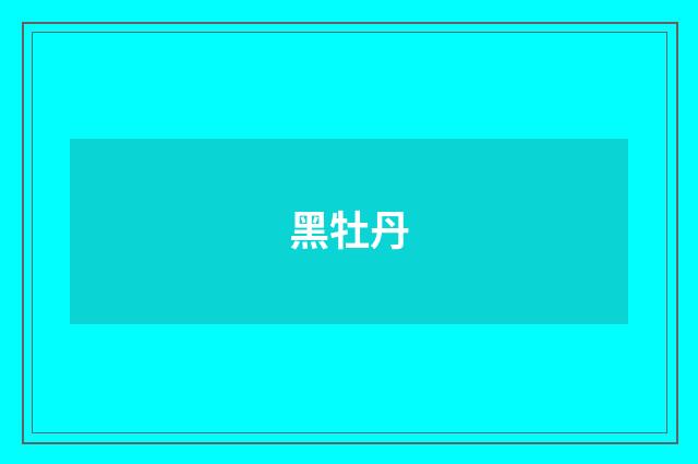 黑牡丹