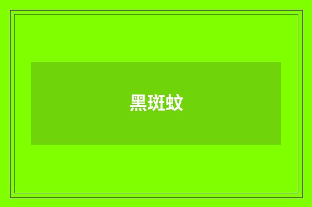 黑斑蚊