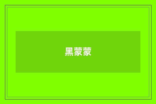 黑蒙蒙