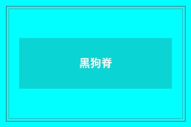 黑狗脊