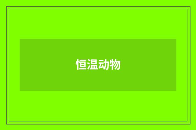 恒温动物