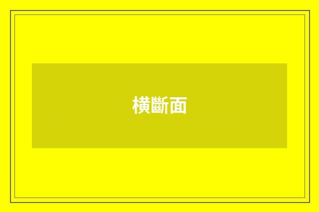 横斷面