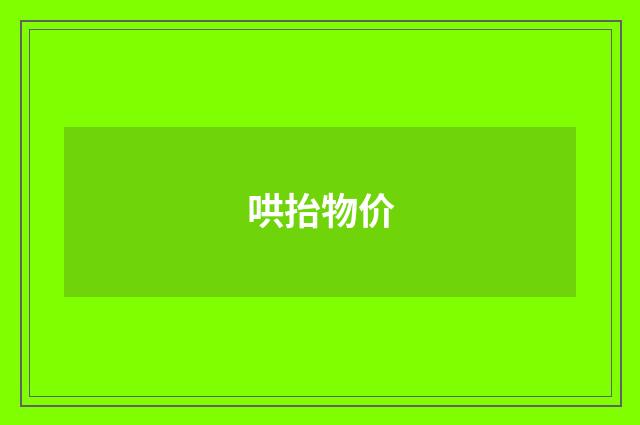 哄抬物价