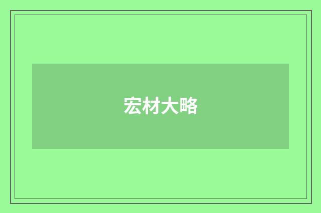 宏材大略