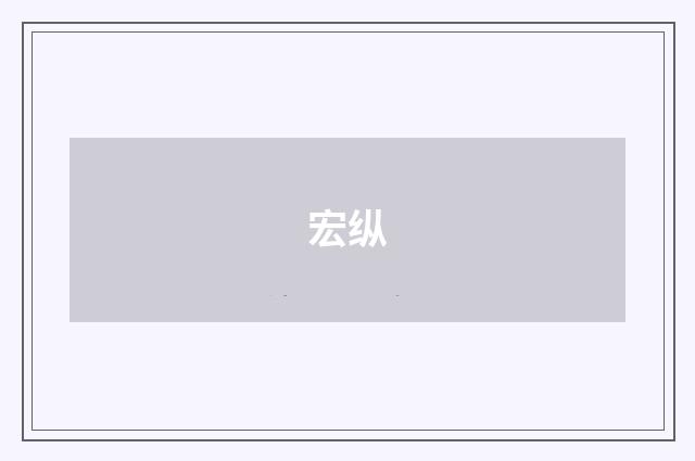 宏纵