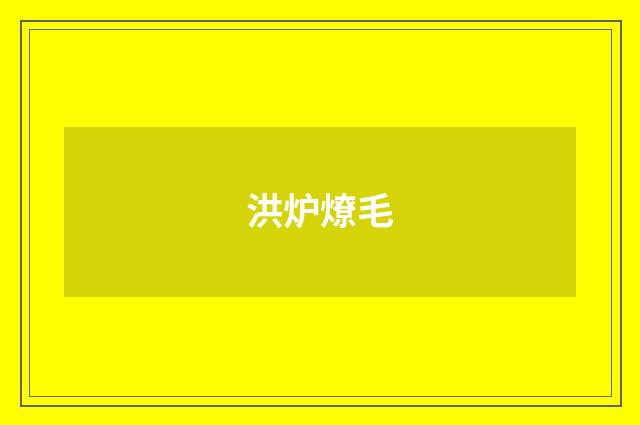洪炉燎毛