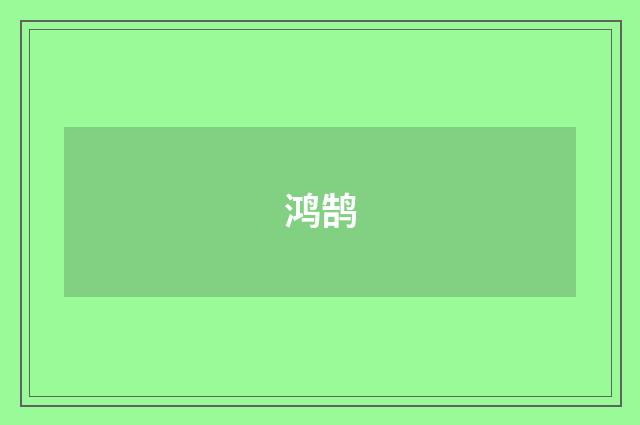 鸿鹄