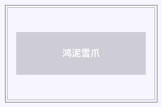 鸿泥雪爪