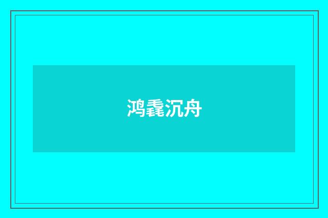 鸿毳沉舟