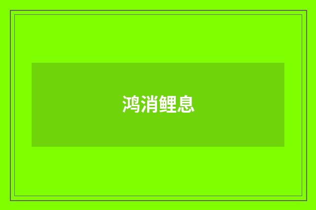鸿消鲤息