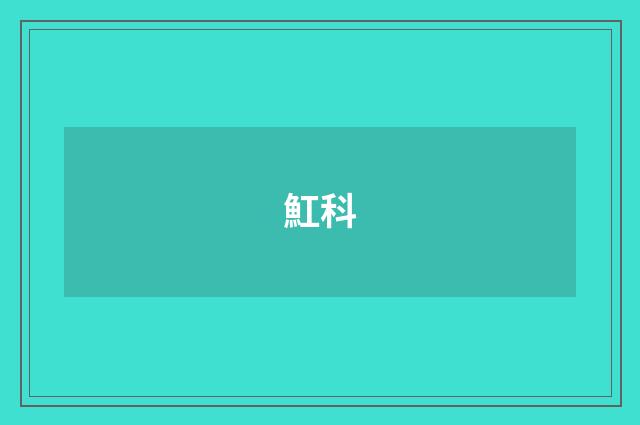 魟科