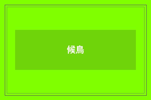 候鳥