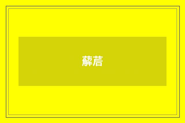 薢茩