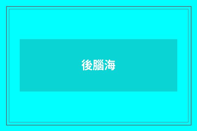 後腦海