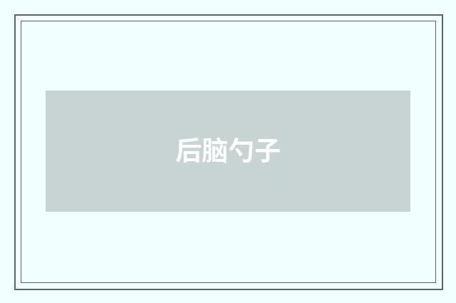 后脑勺子