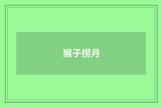 猴子捞月