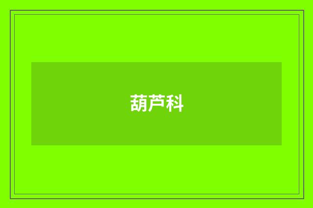 葫芦科