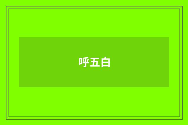 呼五白