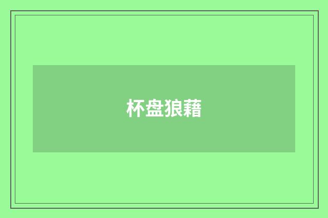 杯盘狼藉