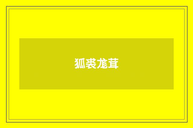 狐裘尨茸