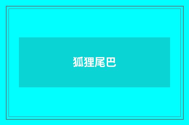 狐狸尾巴