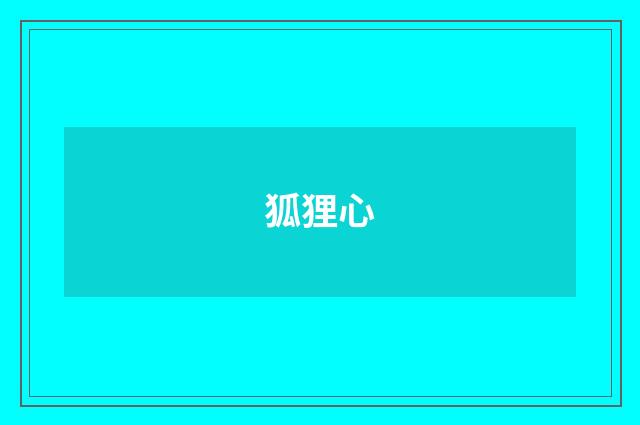 狐狸心