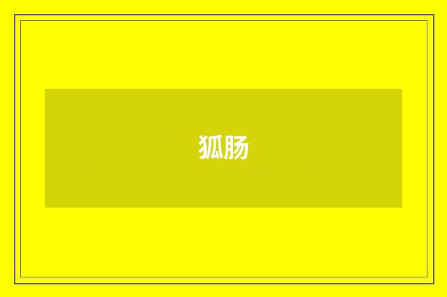狐肠