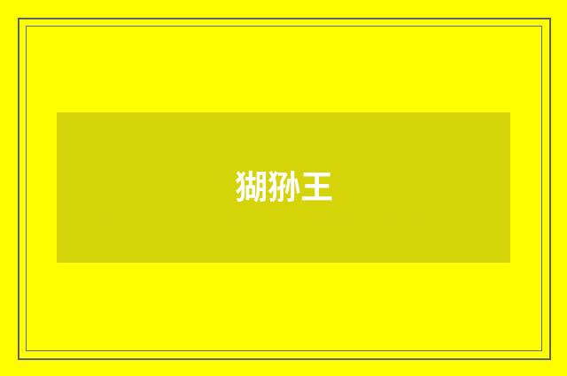 猢狲王