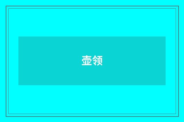 壶领