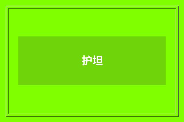 护坦