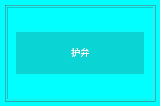护弁