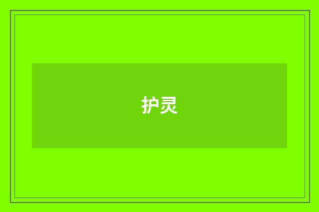 护灵