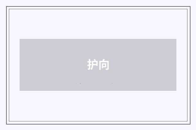 护向