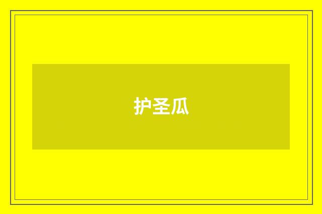 护圣瓜