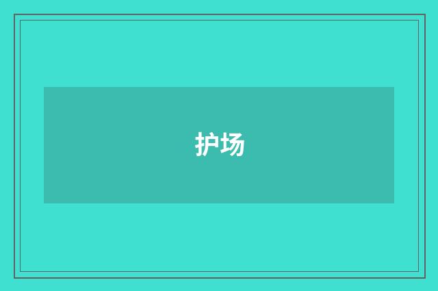 护场