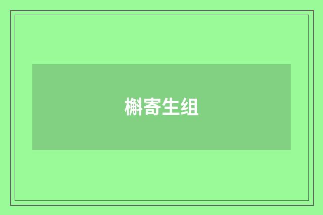 槲寄生组