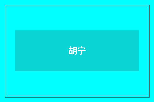 胡宁