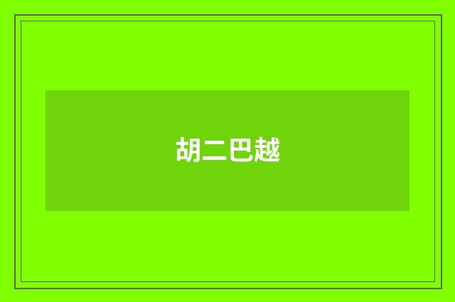胡二巴越