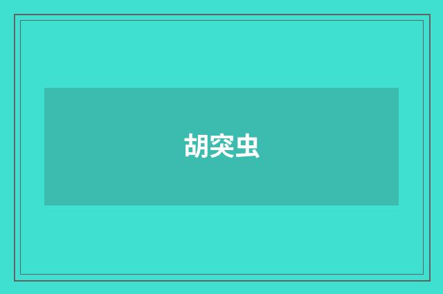 胡突虫