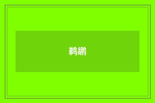 鹈鹕