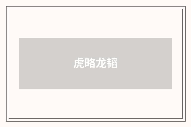 虎略龙韬
