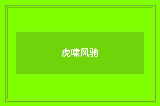 虎啸风驰
