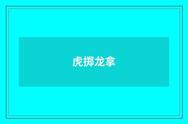 虎掷龙拿