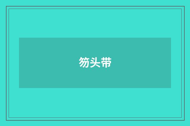 笏头带