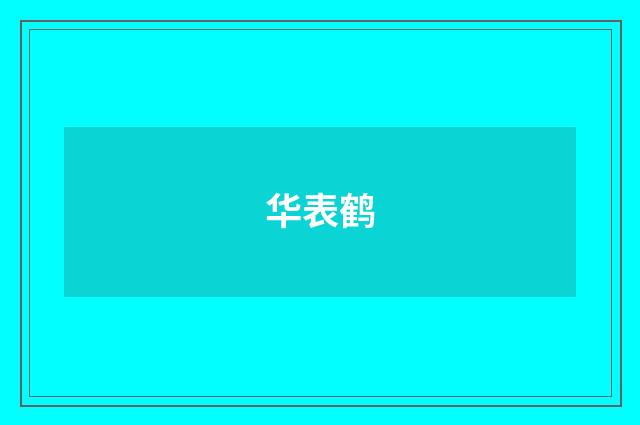 华表鹤