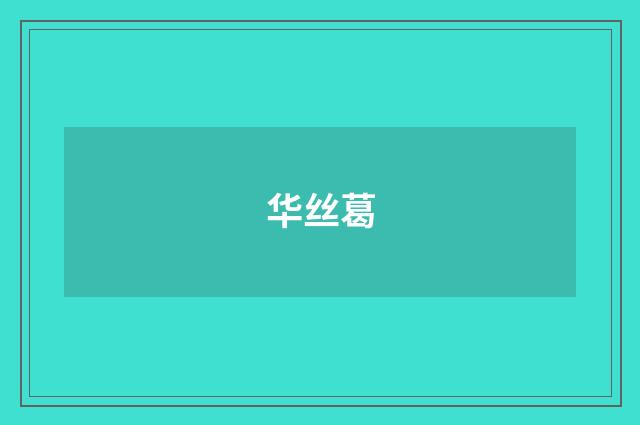 华丝葛