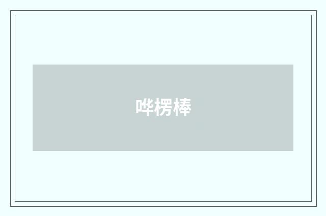 哗楞棒