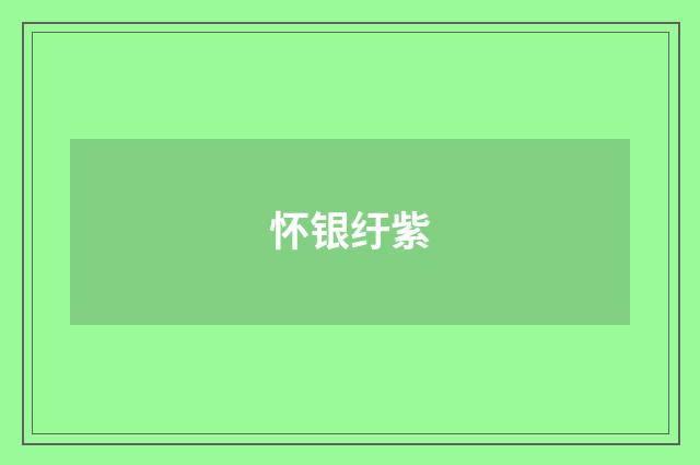 怀银纡紫