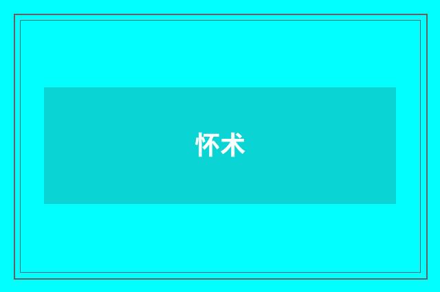 怀术